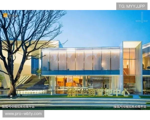 万博集团公司在房地产行业的项目开发与管理经验总结