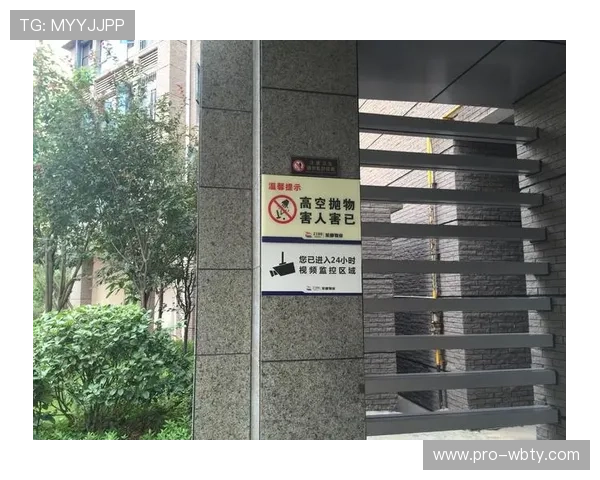 万博manbext网站备用入口的使用技巧与安全保障措施